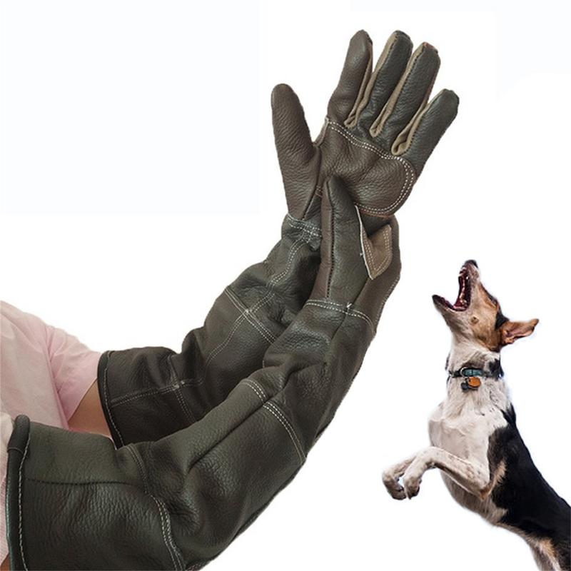 Gardening Tools Gloves - Rękawiczki dla zwierząt Skóra bydlęca Rękawiczki