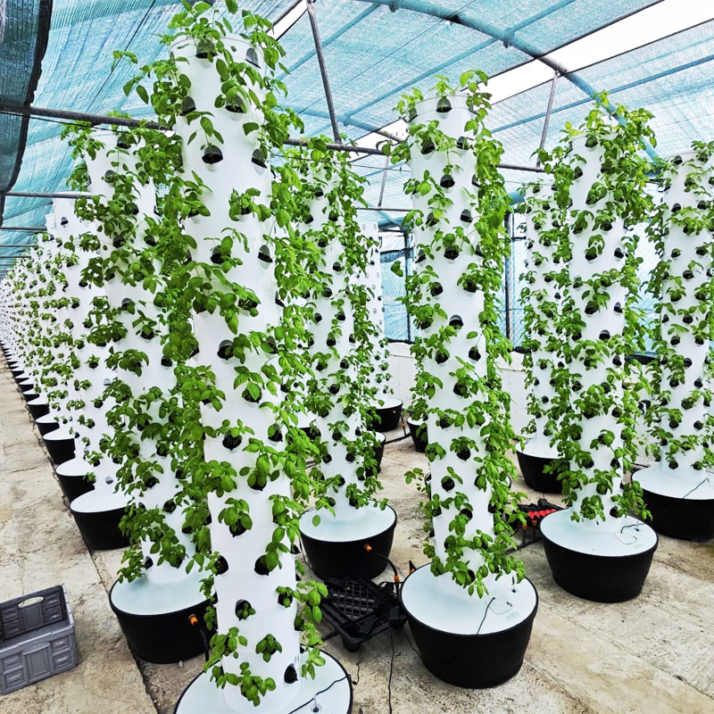 Hydroponic System - Wysokiej jakości, łatwy w montażu, mały,