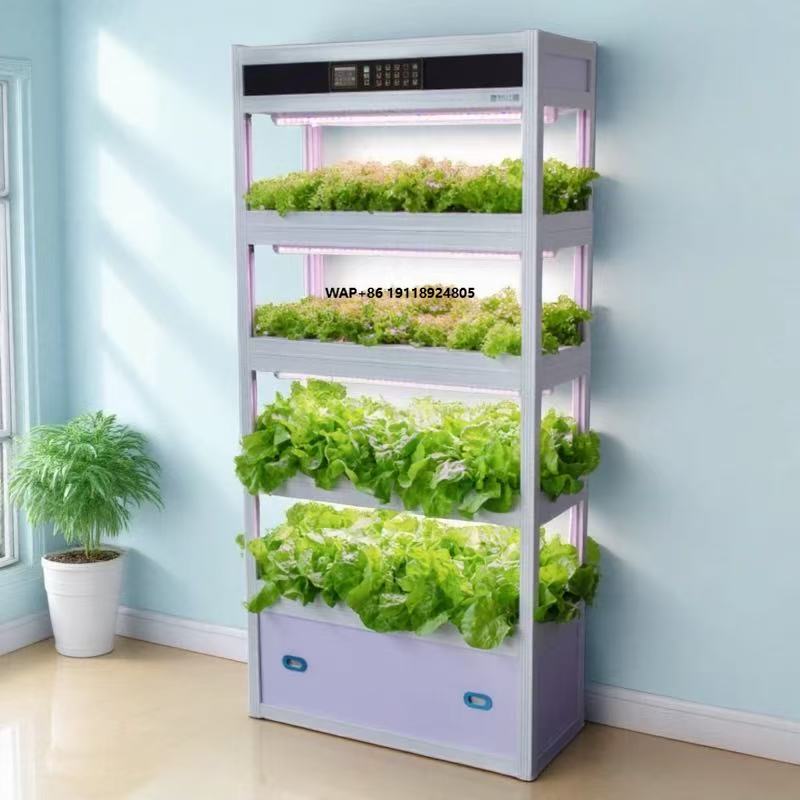 Inteligentny system hydroponic – Hydroponic System recenzja i cena