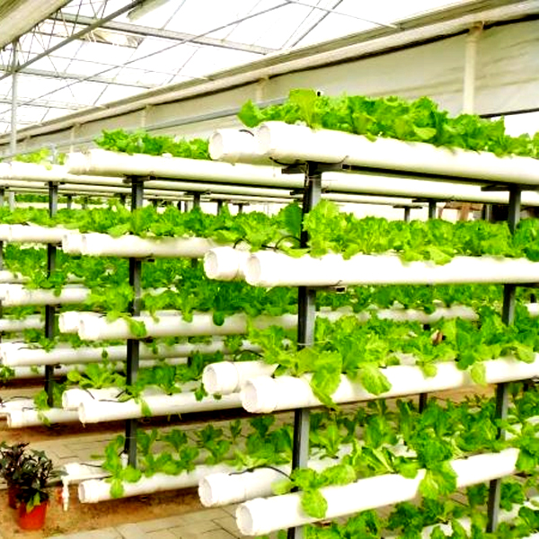 Zewnętrzne hydroponiczne wieże – Hydroponic System recenzja i cena