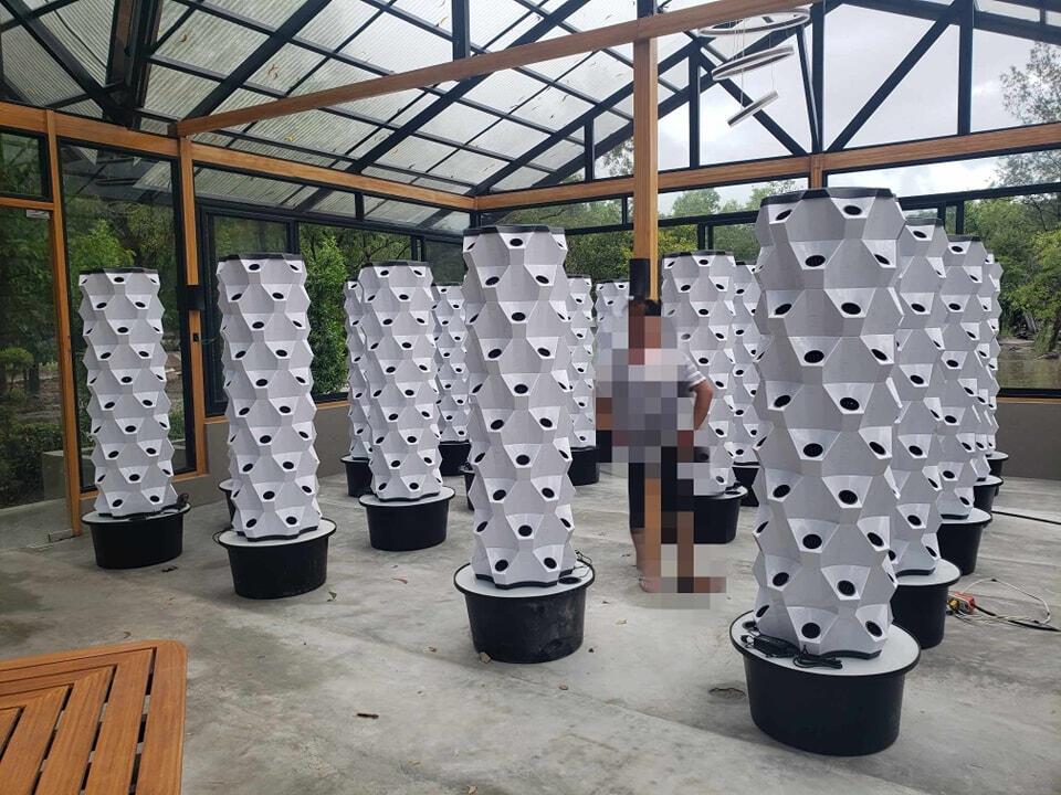 Wertykalna farma szklarniowa,  – Hydroponic System recenzja i cena