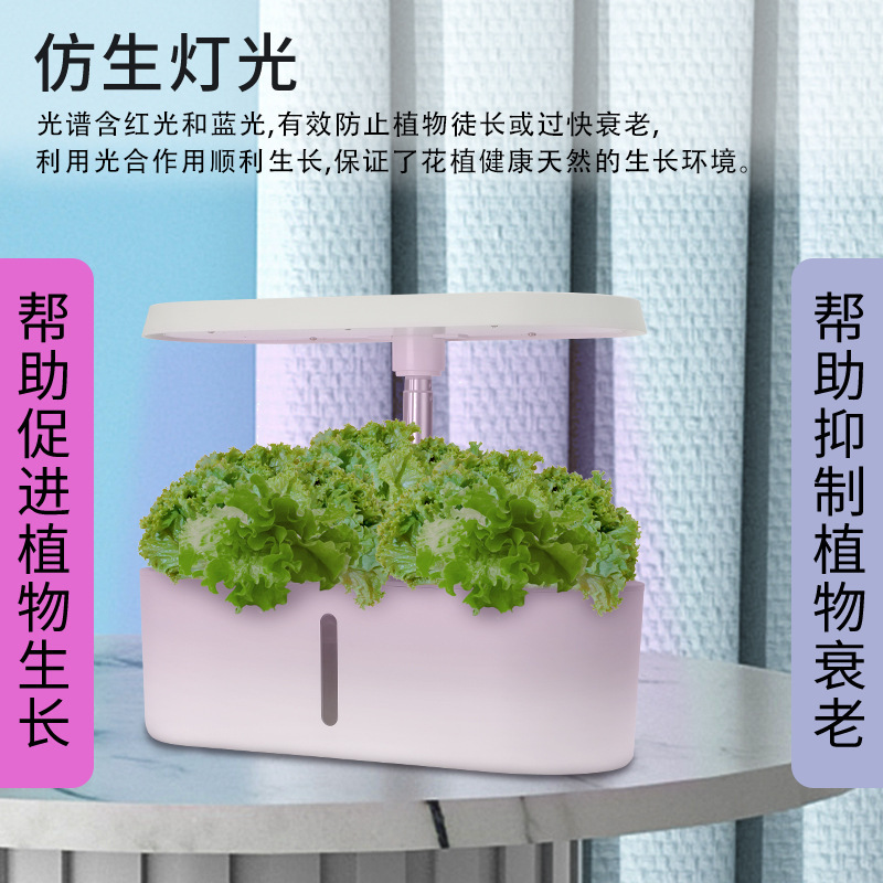 Inteligentny domowy hydroponic – Hydroponic System recenzja i cena