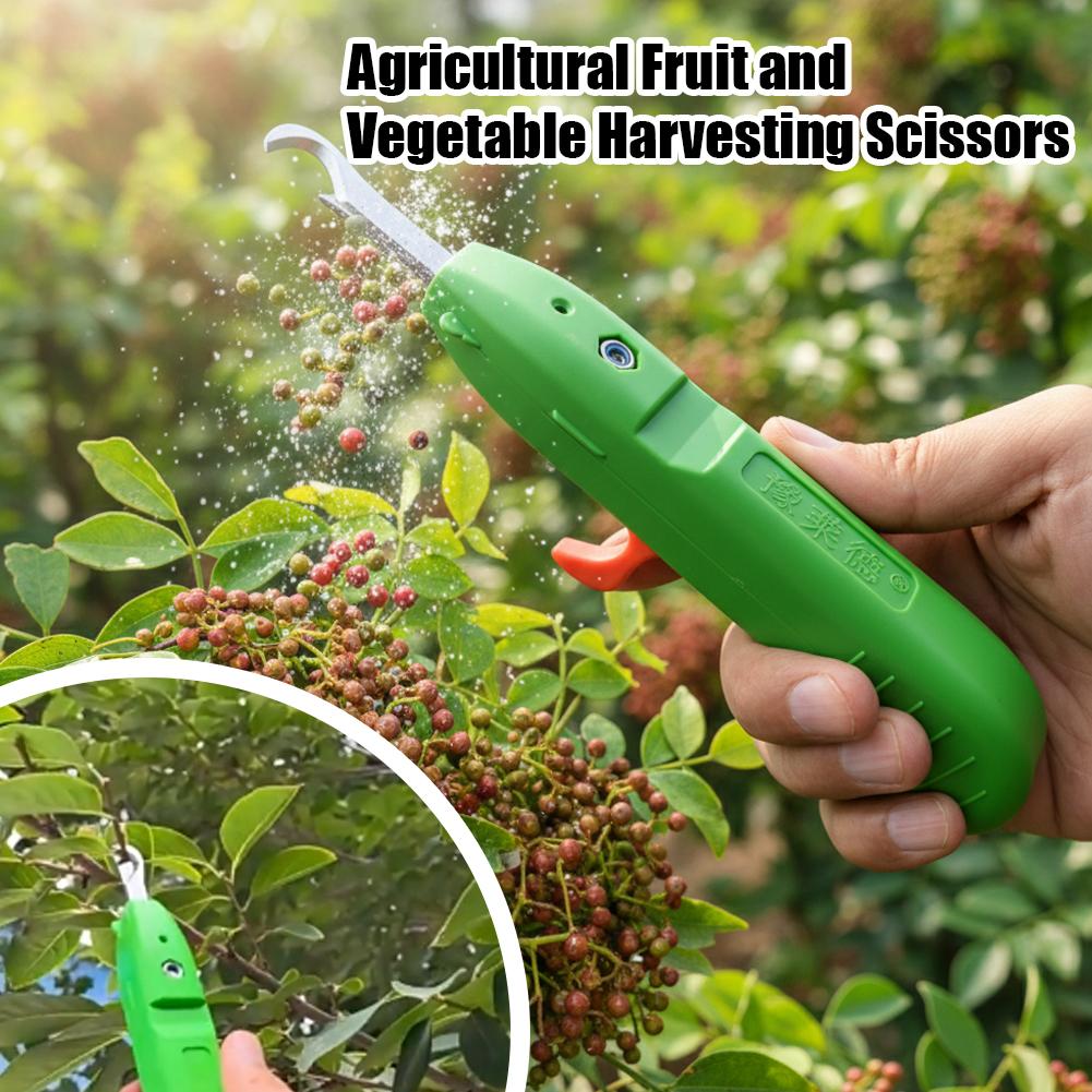Nożyce do zbioru owoców i warz – Gardening Tools Basic recenzja i cena
