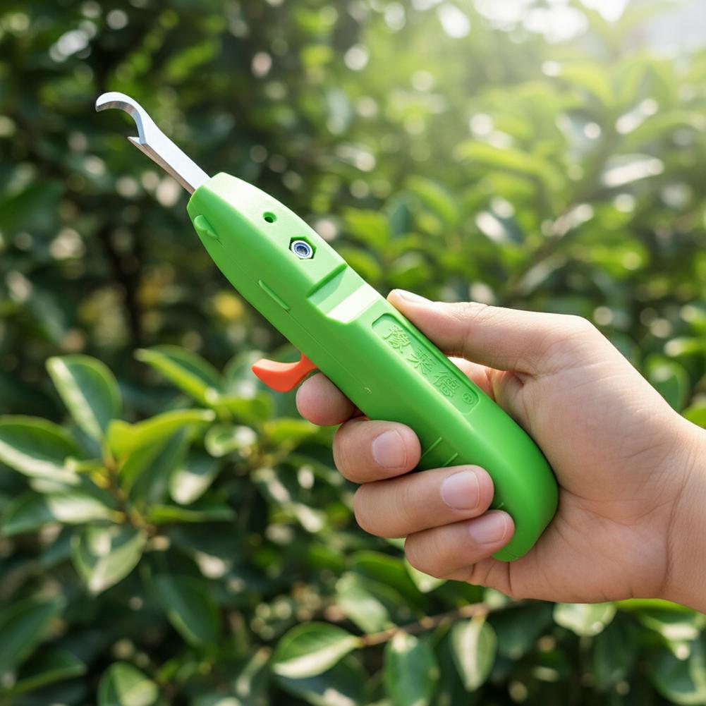 Nożyce do zbioru owoców i warz – Gardening Tools Basic recenzja i cena