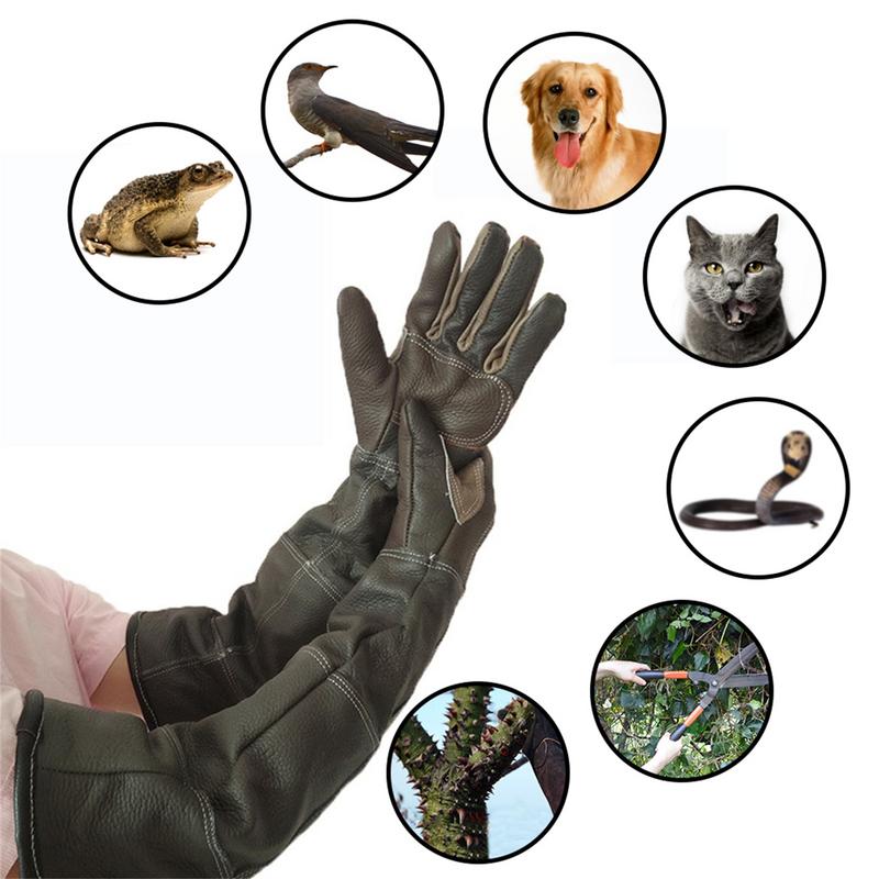 Rękawiczki dla zwierząt Skóra  – Gardening Tools Gloves recenzja i cena