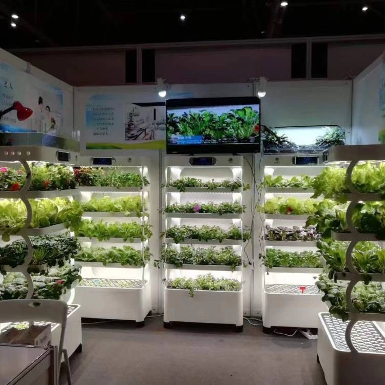 Inteligentny system hydroponic – Hydroponic System recenzja i cena