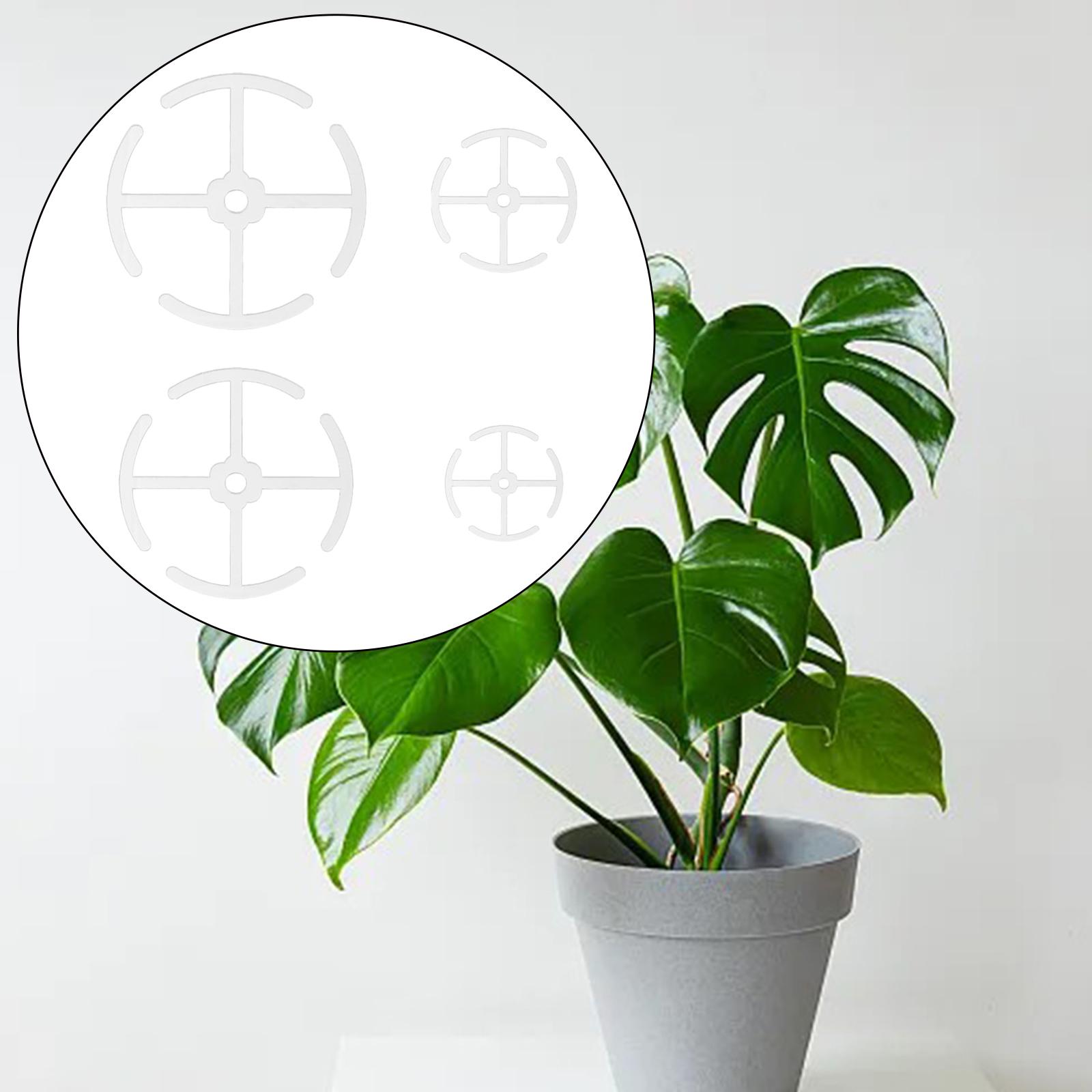 Plastikowe podpórki do łodyg r – Gardening Tools Holder recenzja i cena