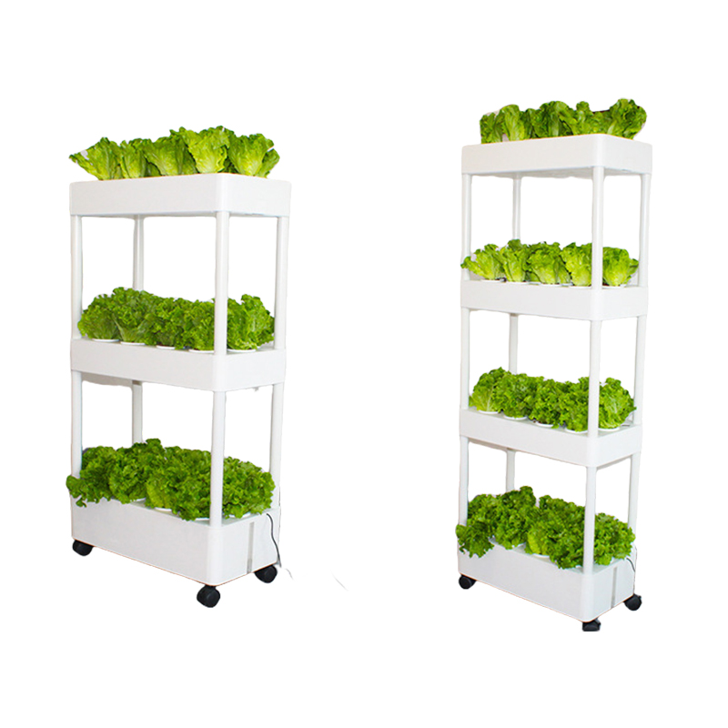 Ogród przydomowy, uprawa rośli – Hydroponic System recenzja i cena