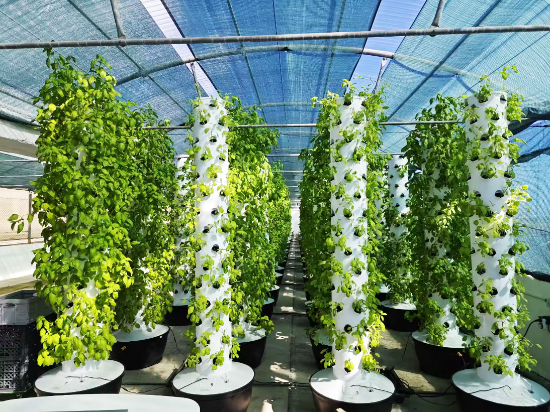 Wysokiej jakości, łatwy w mont – Hydroponic System recenzja i cena