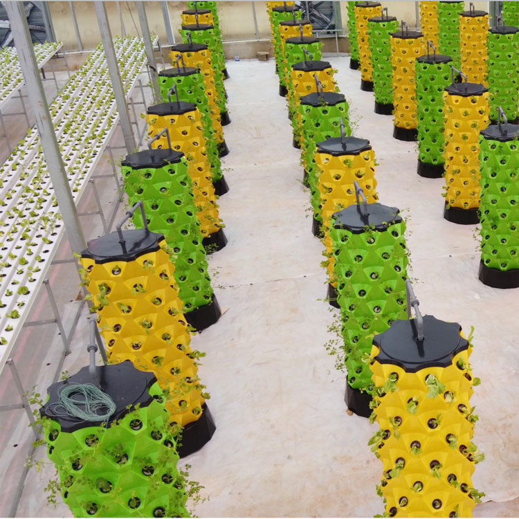 Wysokiej jakości, łatwy w mont – Hydroponic System recenzja i cena