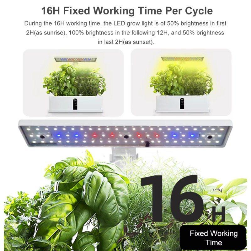 9-komórkowy inteligentny syste – Hydroponic System recenzja i cena