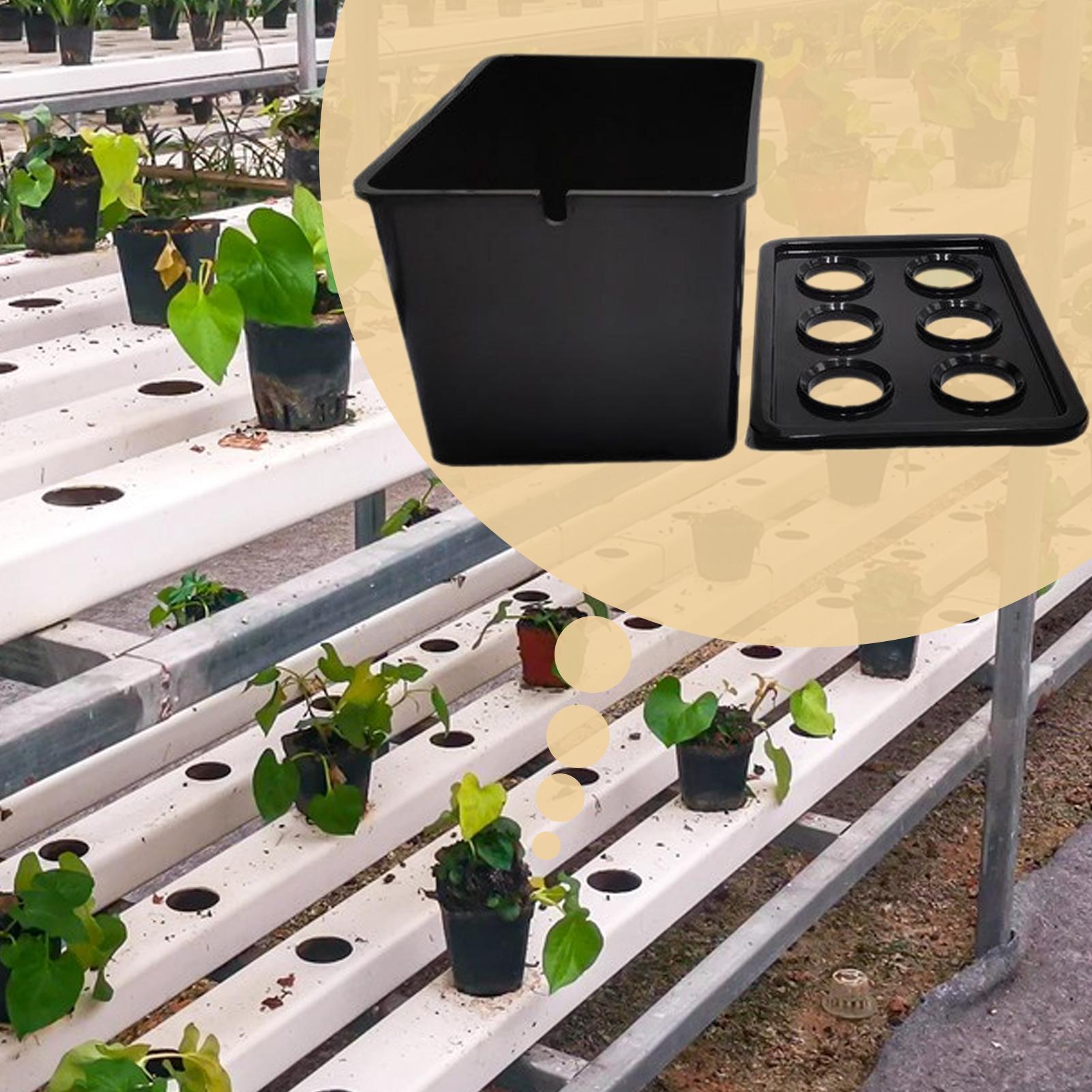 Zestaw do hydroponiki dla pocz – Hydroponic System recenzja i cena