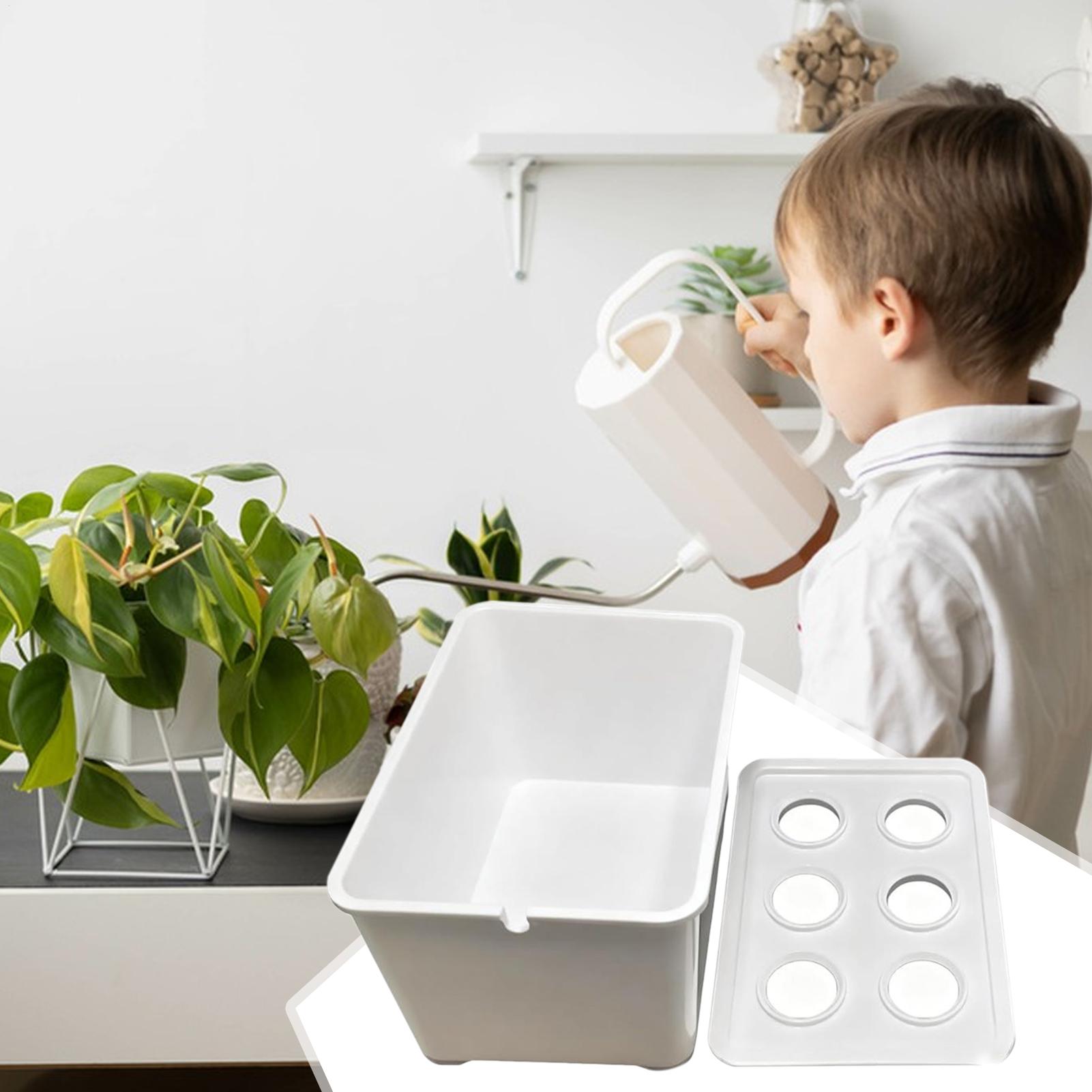 Zestaw do hydroponiki dla pocz – Hydroponic System recenzja i cena