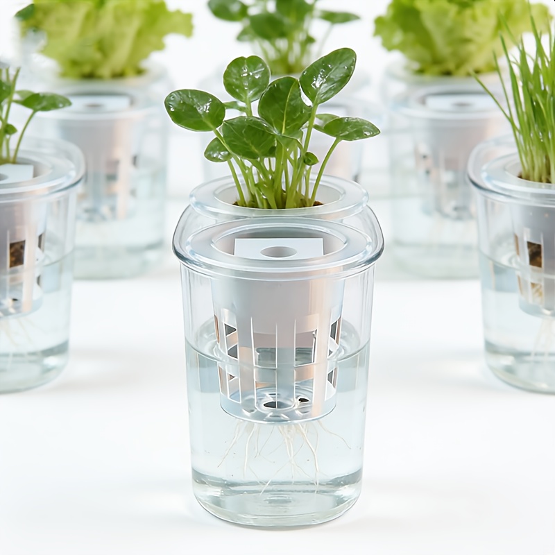 10 szt. Koszyczki do hydroponi – Hydroponic System recenzja i cena