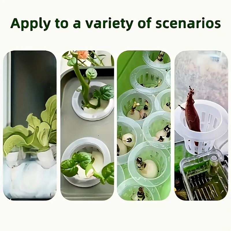 10 szt. Koszyczki do hydroponi – Hydroponic System recenzja i cena