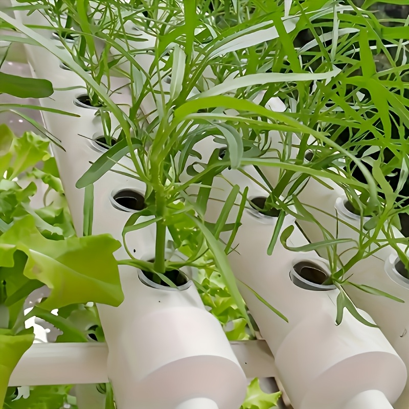 10 szt. Koszyczki do hydroponi – Hydroponic System recenzja i cena