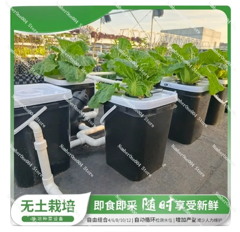 Zestaw do hydroponicznego upra – Hydroponic System recenzja i cena