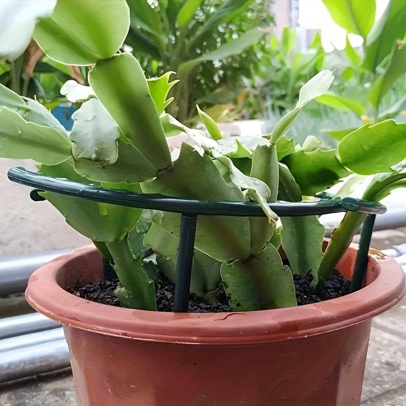 30-1 SZT. Plastikowe Podpórki  – Gardening Tools Holder recenzja i cena