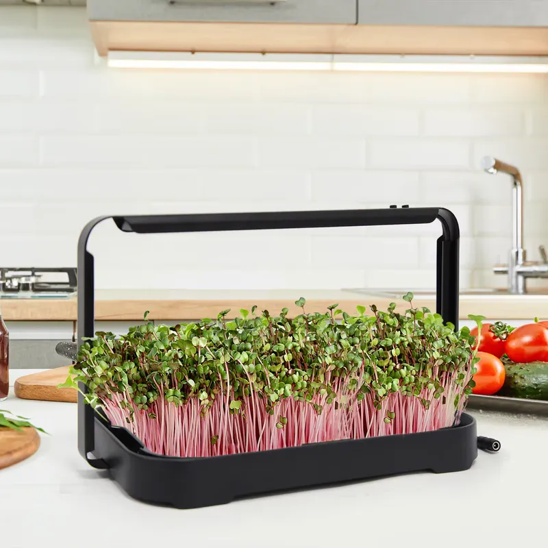 Taca hydroponiczna do uprawy m – Hydroponic System recenzja i cena