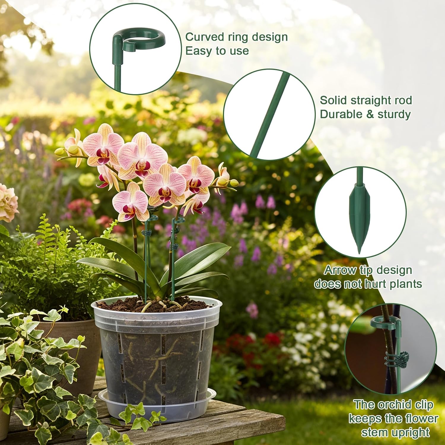 5/10 szt. Podpórki do roślin,  – Gardening Tools Holder recenzja i cena