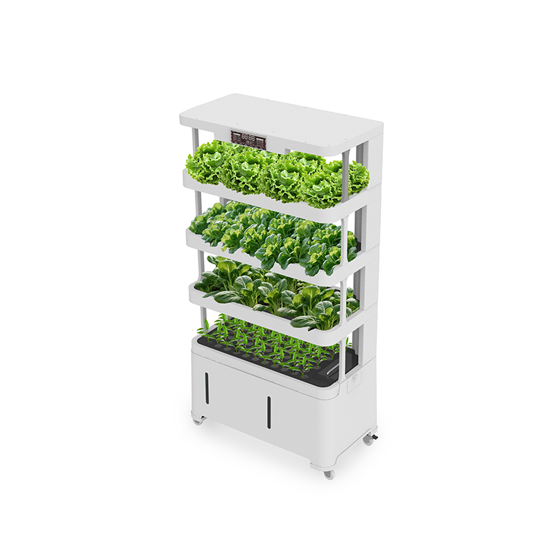 Wysokiej jakości inteligentny  – Hydroponic System recenzja i cena