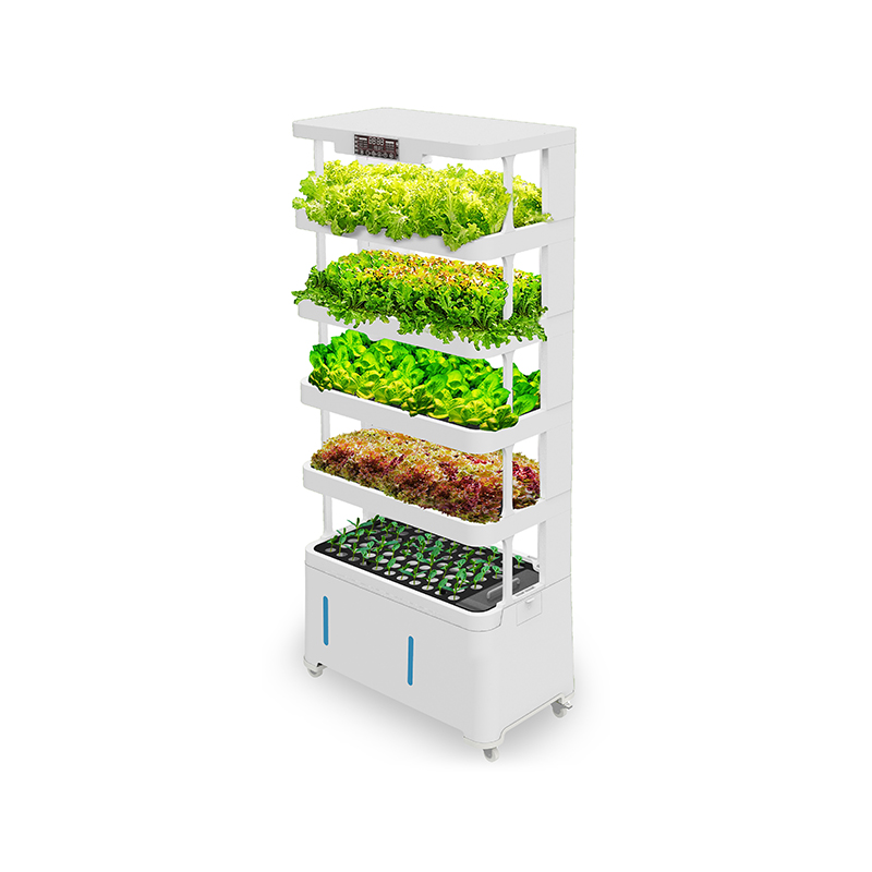 Wysokiej jakości inteligentny  – Hydroponic System recenzja i cena