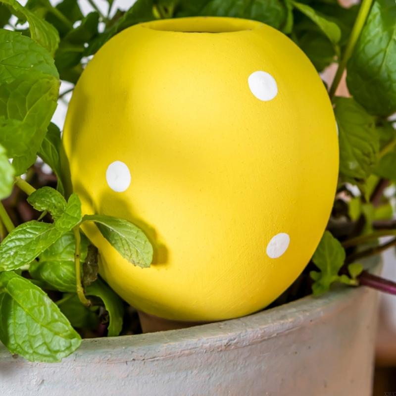 Ceramiczne żarówki do podlewan – Gardening Tools Description recenzja i cena