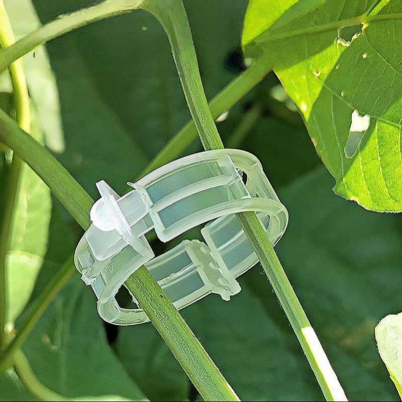 300/50 SZT. Klipsy do podtrzym – Gardening Tools Holder recenzja i cena