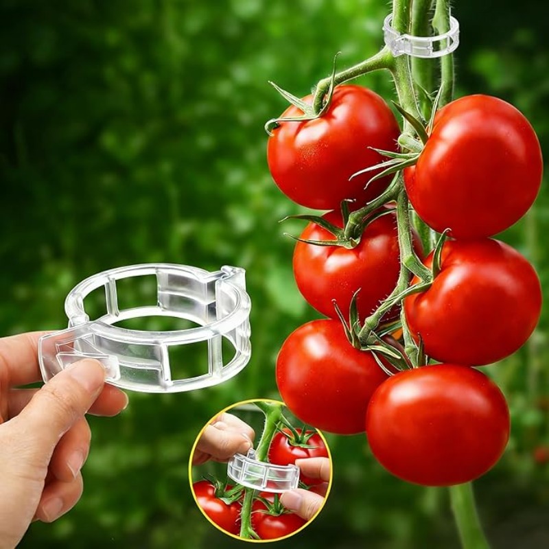 300/50 SZT. Klipsy do podtrzym – Gardening Tools Holder recenzja i cena